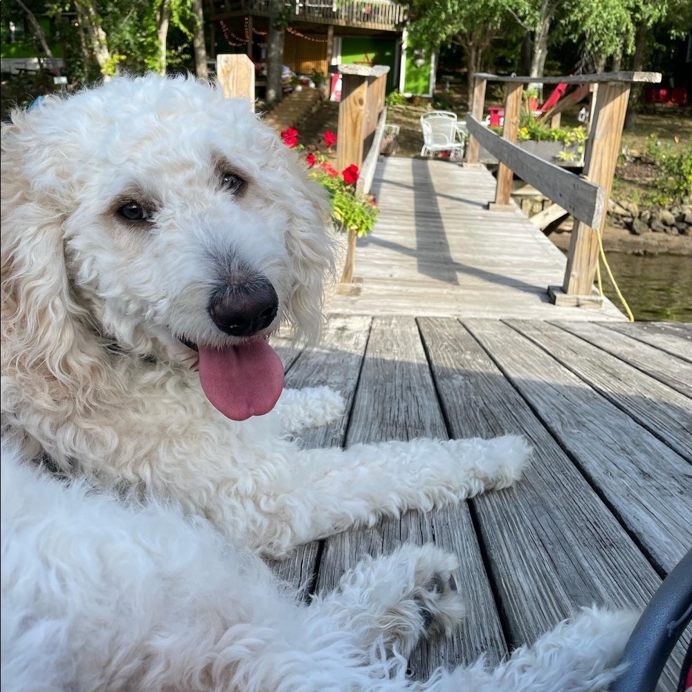 Meet your Posher, Angie